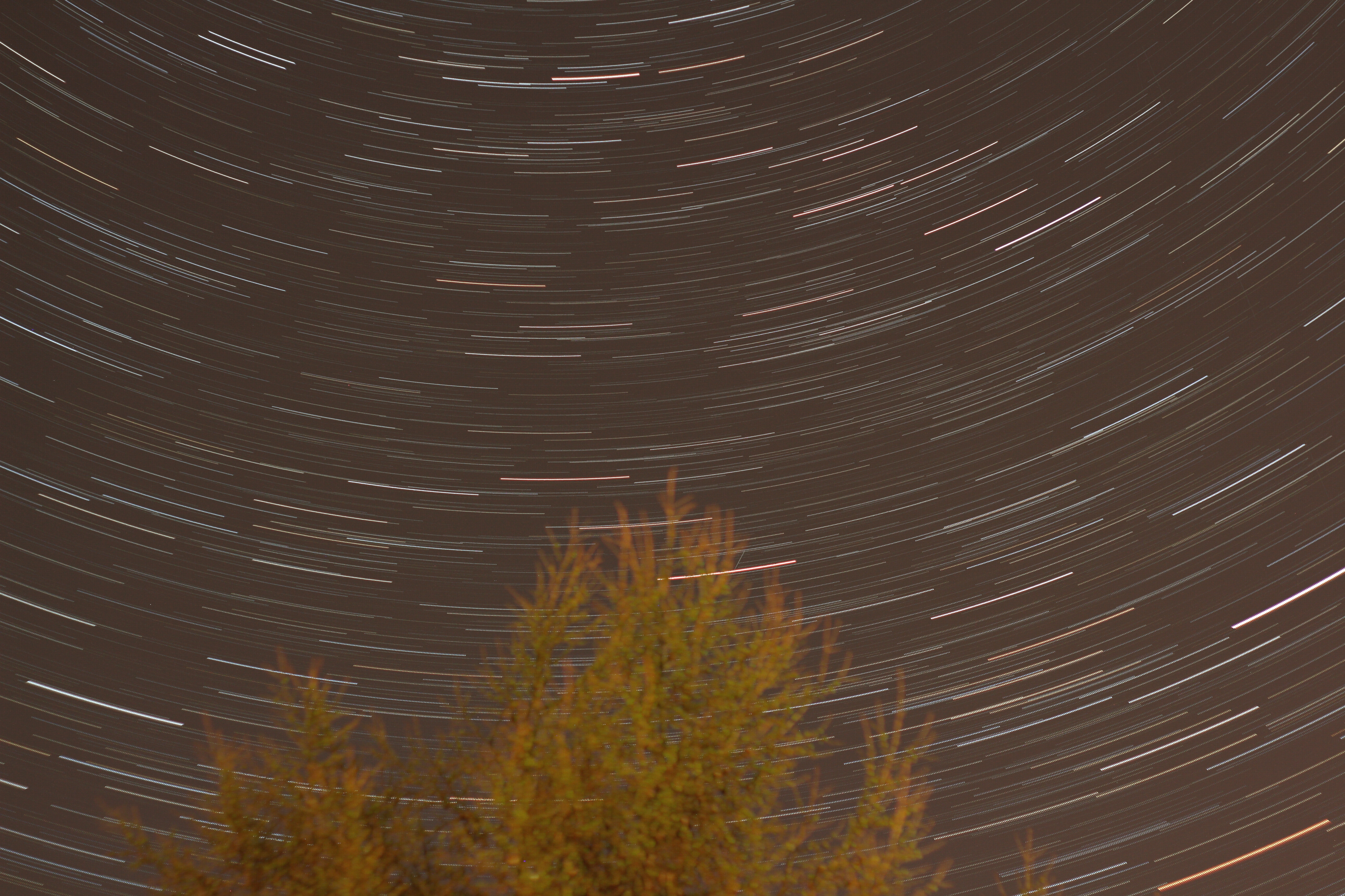 1001 images stacked to produce a startrail by T Hayes